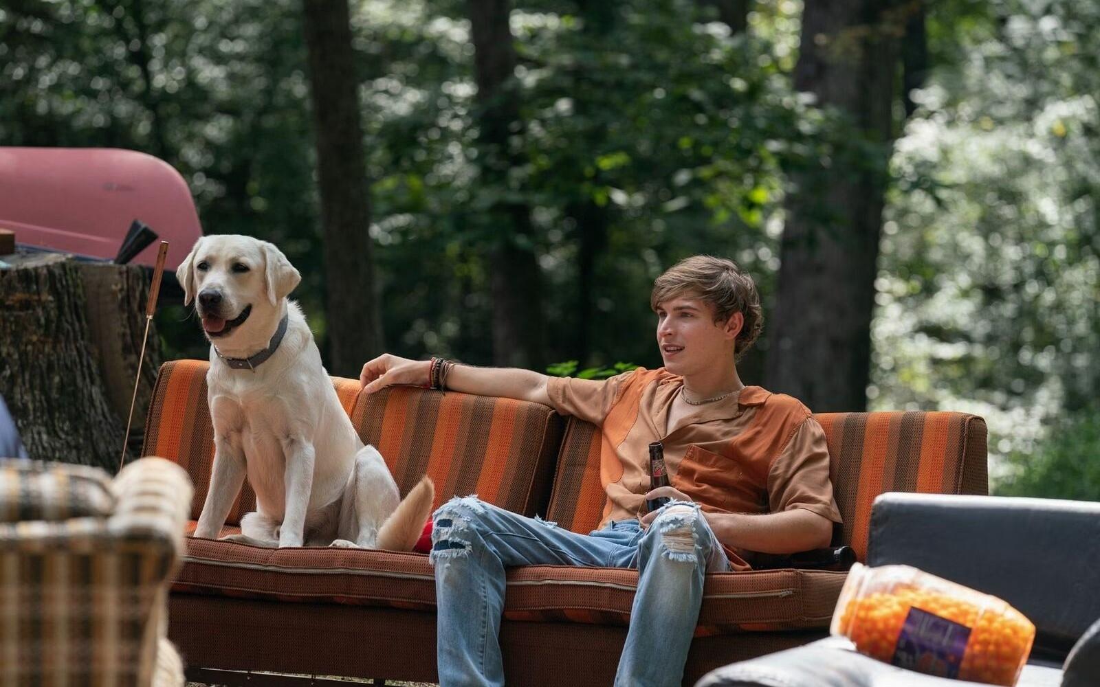 „Pies nie umiera, pies zdycha” – profesor Jerzy Bralczyk wywołał burzę w sieci